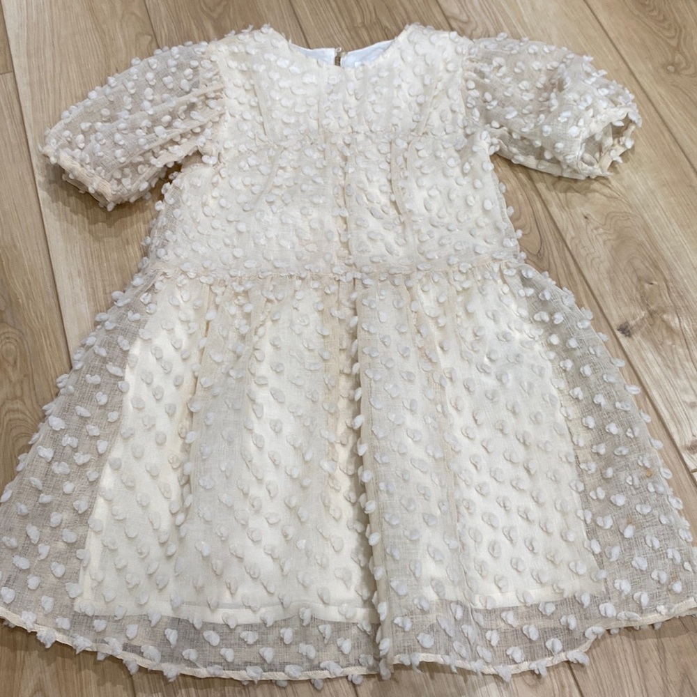 Zara Dress